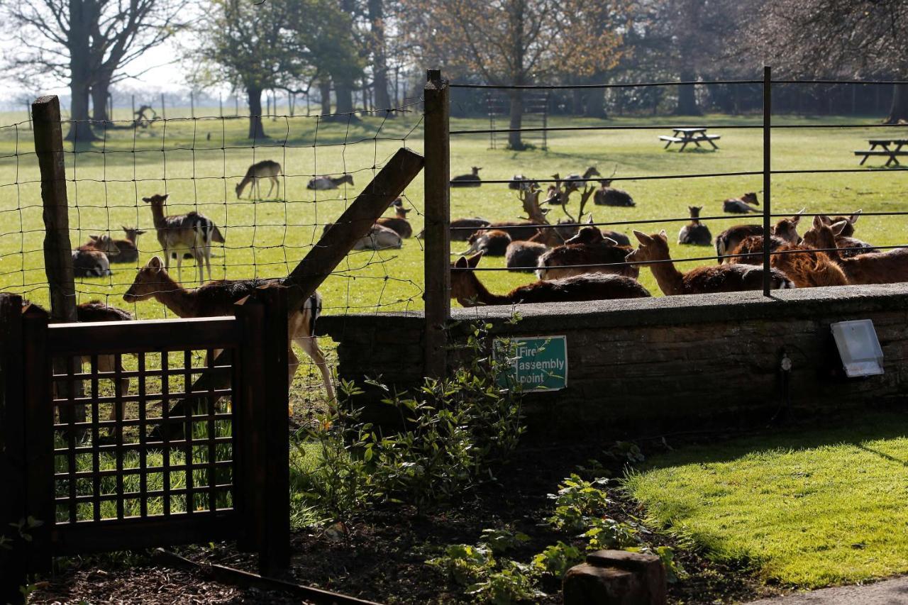 Whitworth Hall Hotel & Deer Park - Durham Spennymoor Ngoại thất bức ảnh